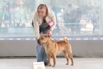 Daoshao Absolute Reality Chernyi Chizh   ,  ,  ,  ,  