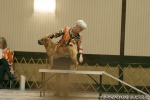 CH Yu Kou`s Only in America  ,    2009, - 