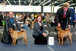   2012 World Dog Show Winners 2012