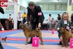 ,    Shira Victory Gentelman,  Dalila Papi & Marco Barbieri, 
