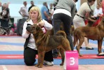 3-   Zhou-Show Galifei ,   , , 