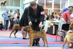 ,    Shira Victory Gentelman,  Dalila Papi & Marco Barbieri, 