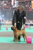 Jade East Catch me if you can 1 . (ex.)  CAC-CACIB-BOB-EW