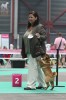 Yijing`s Jump Switch 1 . . (very promissing)   (Best Baby)