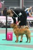So-Fi`s Choice for hot Gossip 1 . (ex.)   . (intermediate)  R.CACIB
