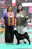 best  female, CACIB, European Winner 2011 Yijing`s Glory aren`t Everything