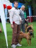 Ellboy Rouge Des Chanagueres 4   