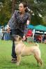 Ch. Trinitotoluene T.N.T Del Peodoro "Trilly"