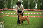    2 Chernyi Chizh Mersedes