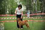    2 Chernyi Chizh Mersedes