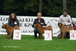   : 2 Delmonico Alonso Vincitore Iz Doma BSS 3El Nino Du Val Des Genets 4  Ellboy Rouge Des Chandagueres