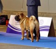    2010  Khambaliq Alladin