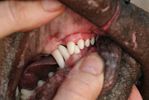 ��������������� ������ ������